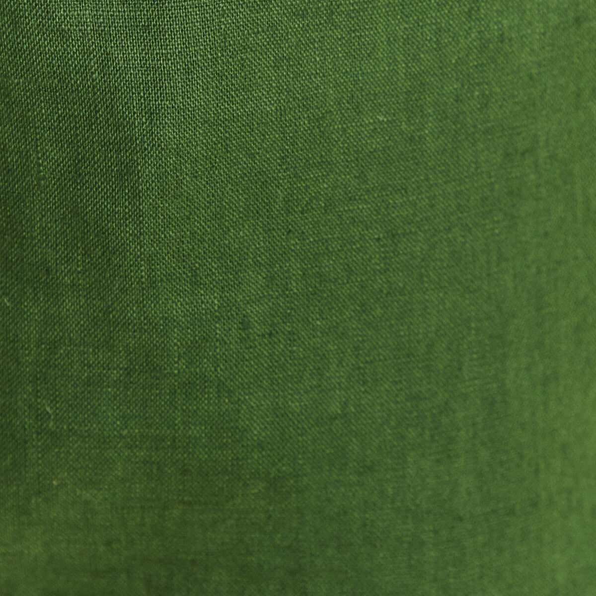Pantalon flou ceinturé vert foncé femme