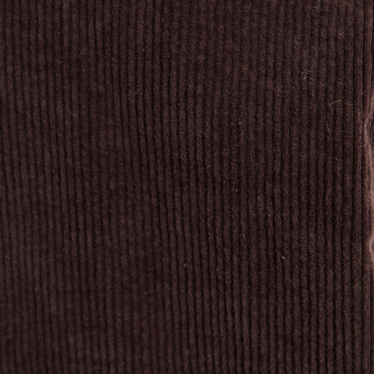 Blouson droit velours manches longues marron fonc&eacute; femme