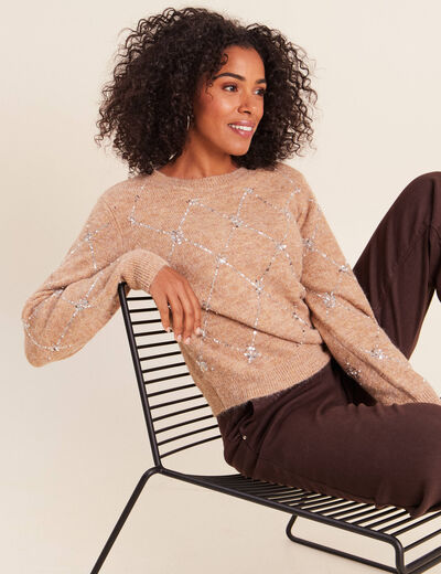 Pull col rond &agrave; sequins marron clair femme
