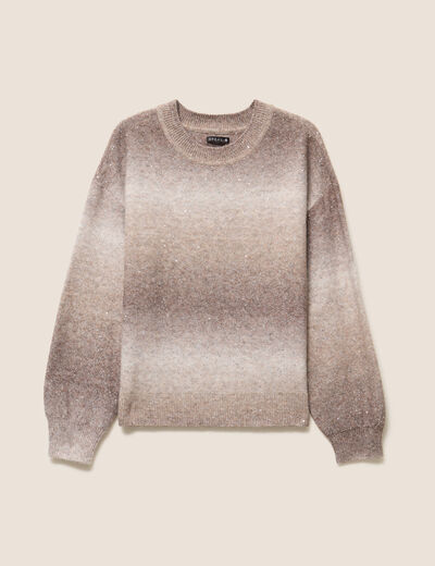 Pull col rond &agrave; sequins taupe femme
