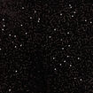 Pantalon &agrave; sequins noir femme
