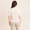 Pull col rond manches courtes dentelle ecru femme