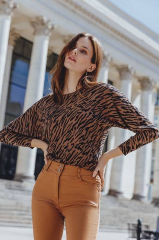 pull zébré