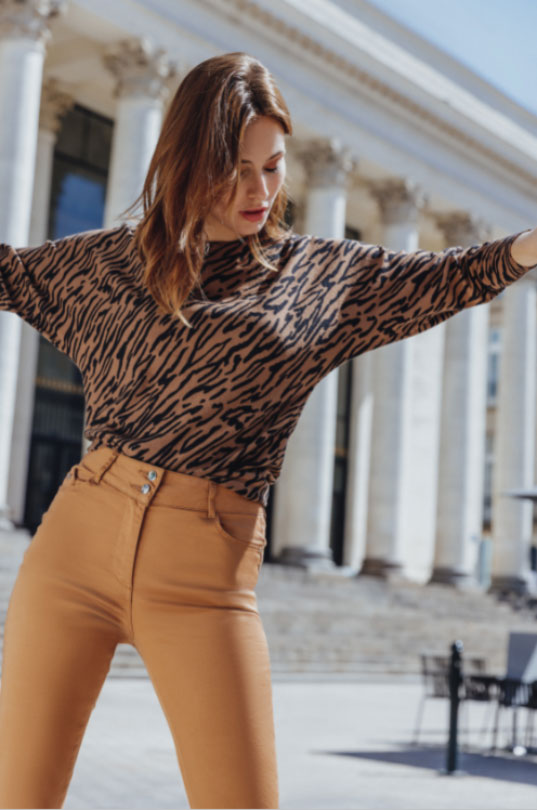 pull zébré