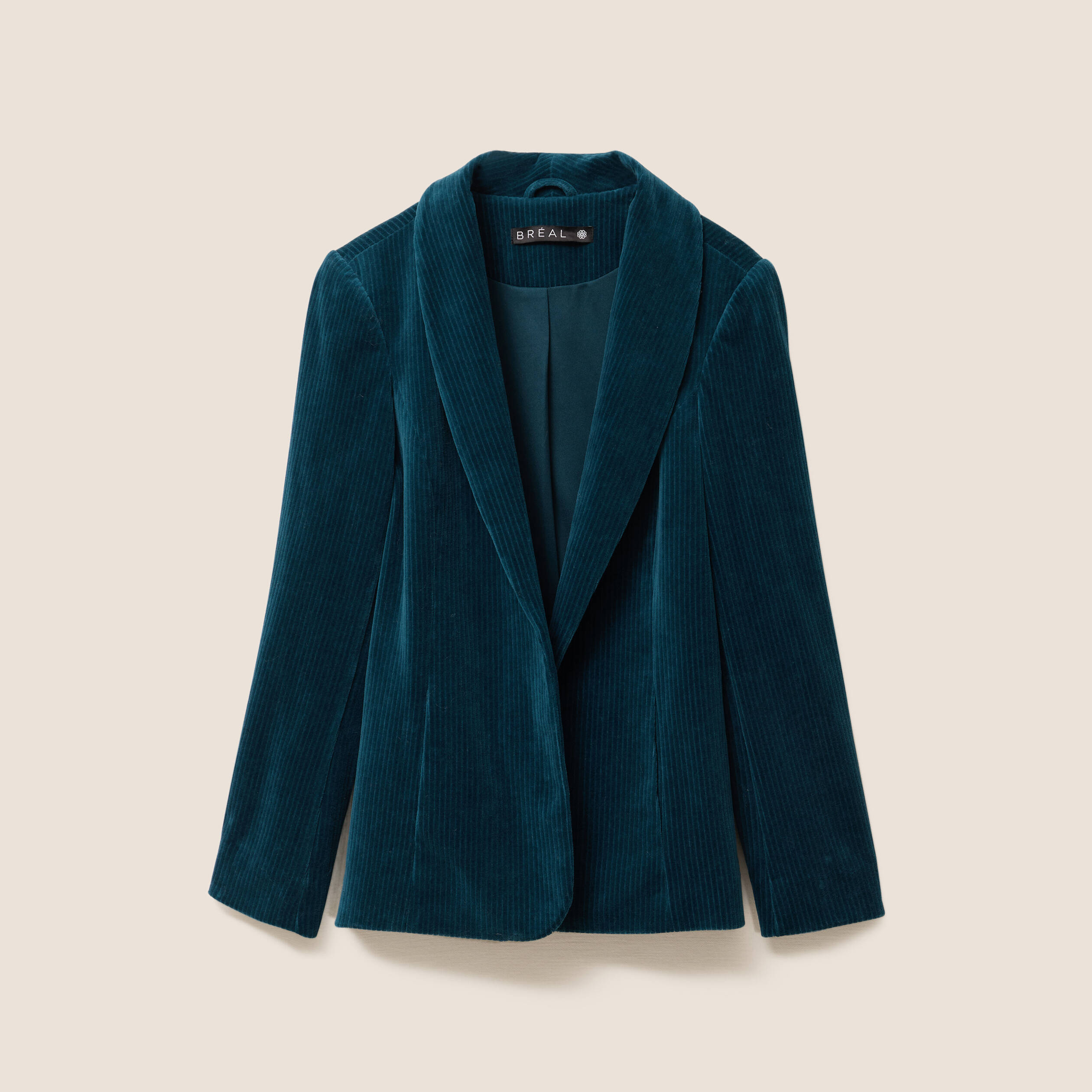 Velours Bleu Marine Blazer Velour Femme Veste Tailleur Femme Veste